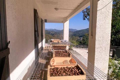 Villa i Le Vigan, Gard, Le Vigan - € 630.000 | Ref: 425971GAUB - foto 18