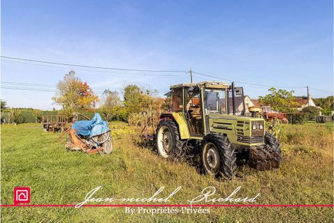 Helårsgrund i Langon, Loir-et-Cher, Langon - € 20.000 | Ref: 422981JMR - foto 3