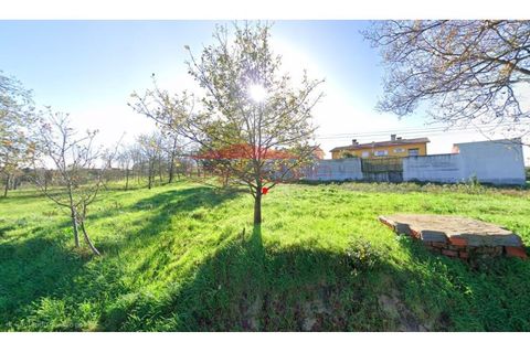 Helårsgrund i Oia, Aveiro, Oia - € 70.800 | Ref: AV269 - foto 9