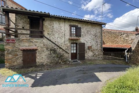 Villa i Vieille-Brioude, Haute-Loire, Vieille-Brioude - € 47.000 | Ref: 85872236 - foto 8