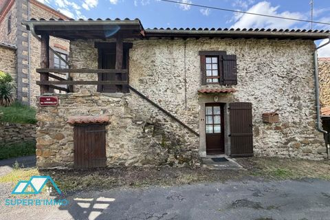 Villa i Vieille-Brioude, Haute-Loire, Vieille-Brioude - € 47.000 | Ref: 85872236 - foto 9