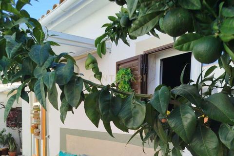 Villa i Monforte, Portalegre, Monforte - € 180.000 | Ref: C0284-00854 - foto 3