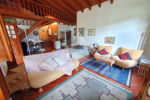 Villa i Espinho, Aveiro, Espinho - € 350.000 | Ref: TRZ_JN_733 - foto 11