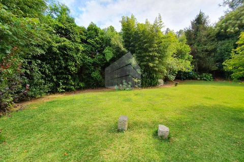 Villa i Espinho, Aveiro, Espinho - € 350.000 | Ref: TRZ_JN_733 - foto 18
