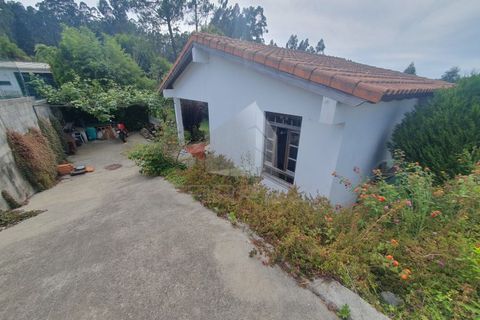 Villa i Espinho, Aveiro, Espinho - € 350.000 | Ref: TRZ_JN_733 - foto 22