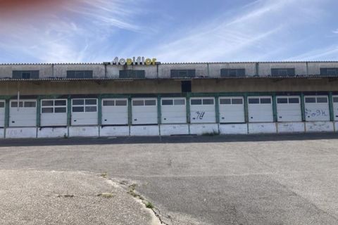 Erhvervsejendom i Belas, Lisbon, Belas - € 3.500.000 | Ref: 25050 - 27118 - foto 10