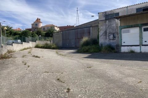 Erhvervsejendom i Belas, Lisbon, Belas - € 3.500.000 | Ref: 25050 - 27118 - foto 13