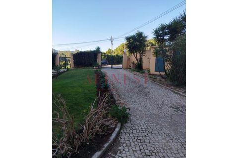 Apartment in Alcabideche, Lisbon, Alcabideche - € 2,300/month | Ref: C0712/24 - photo 30