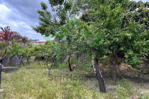 Villa a Assentiz, Santarem, Assentiz - € 180.000 | Ref: STAR_233 - foto 7