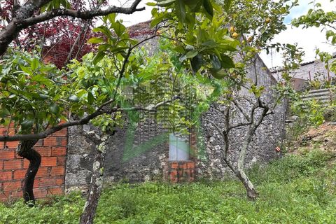 Villa a Assentiz, Santarem, Assentiz - € 180.000 | Ref: STAR_233 - foto 39