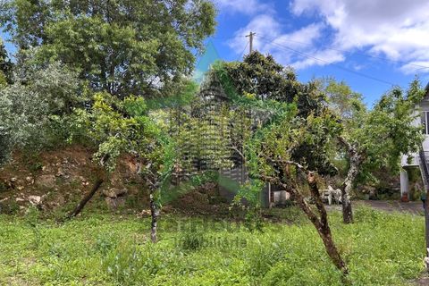 Villa a Assentiz, Santarem, Assentiz - € 180.000 | Ref: STAR_233 - foto 40