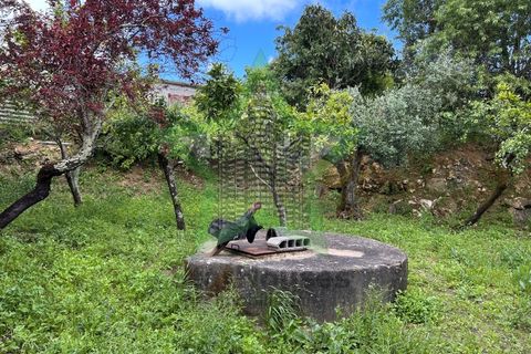 Villa a Assentiz, Santarem, Assentiz - € 180.000 | Ref: STAR_233 - foto 41