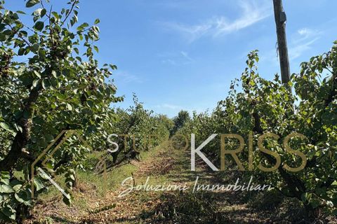 Villa i Ferrara, Ferrara, Ferrara - € 500.000 | Ref: V645 - foto 44