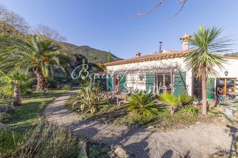 Villa i Sorède, Pyrenees-Orientales, Sorède - € 1.195.000 | Ref: CP340 - foto 9