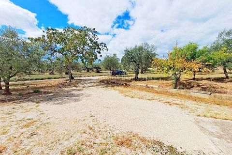 Villa i Penne, Pescara, Penne - € 180.000 | Ref: PNN991 - foto 4