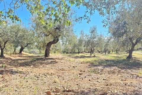 Villa i Penne, Pescara, Penne - € 180.000 | Ref: PNN991 - foto 5