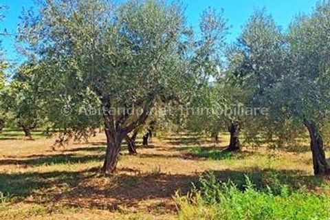 Villa i Penne, Pescara, Penne - € 180.000 | Ref: PNN991 - foto 6