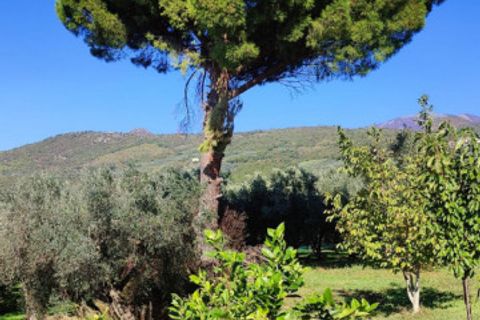 Villa a Campagna, Salerno, Campagna - € 180.000 | Ref: 566 - foto 19