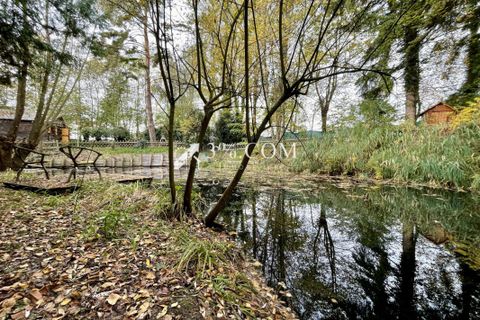 Terra a Plobsheim, Bas-Rhin, Plobsheim - € 160.000 | Ref: 55_V1000062318 - foto 7