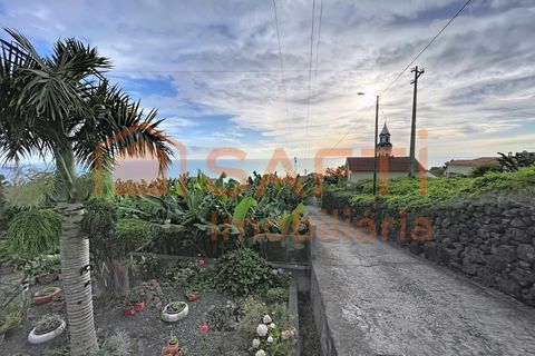 Helårsgrund i Arco da Calheta, Madeira, Arco da Calheta - € 360.000 | Ref: SAFTI:007375 - foto 2