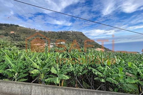 Helårsgrund i Arco da Calheta, Madeira, Arco da Calheta - € 360.000 | Ref: SAFTI:007375 - foto 7