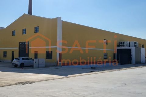 Bungalou a Algoz, Faro, Algoz - € 15.750/mes | Ref: SAFTI:007384 - foto 2