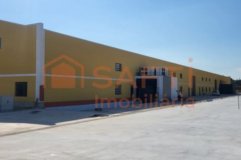 Bungalou a Algoz, Faro, Algoz - € 15.750/mes | Ref: SAFTI:007384 - foto 5