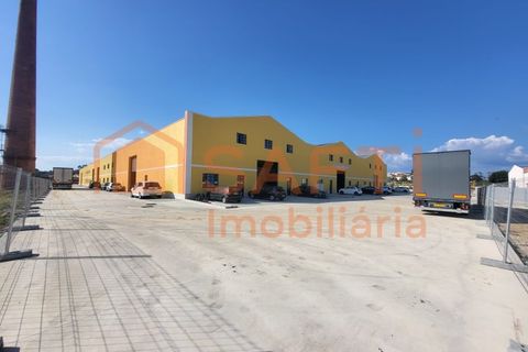 Bungalou a Algoz, Faro, Algoz - € 15.750/mes | Ref: SAFTI:007384 - foto 13