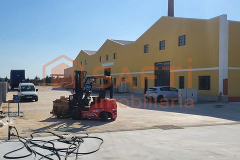 Bungalou a Algoz, Faro, Algoz - € 15.750/mes | Ref: SAFTI:007384 - foto 15