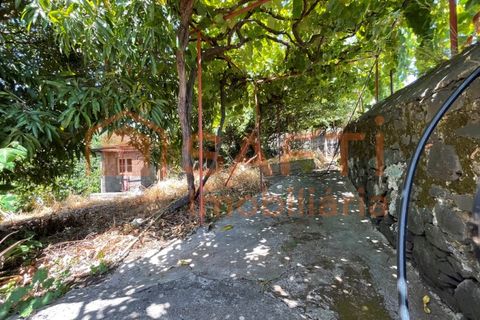 Duplex i Calheta, Madeira, Calheta - € 499.000 | Ref: SAFTI:007245 - foto 28