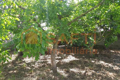 Landejendom i Moncao, Viana do Castelo, Moncao - € 135.000 | Ref: SAFTI:001931 - foto 14