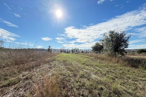 Helårsgrund i Abrantes, Santarem, Abrantes - € 6.500 | Ref: 01793-25 - foto 1