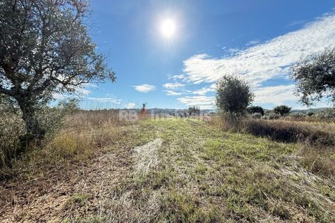 Helårsgrund i Abrantes, Santarem, Abrantes - € 6.500 | Ref: 01793-25 - foto 2
