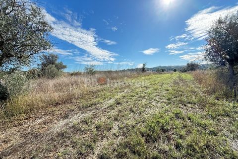 Helårsgrund i Abrantes, Santarem, Abrantes - € 6.500 | Ref: 01793-25 - foto 3