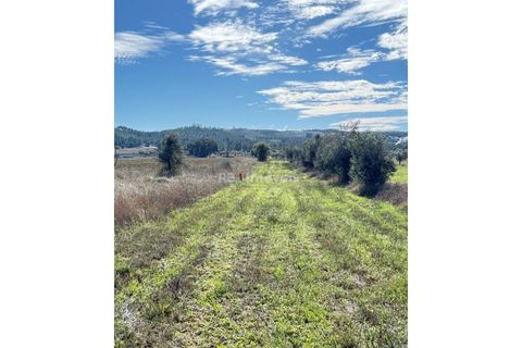 Helårsgrund i Abrantes, Santarem, Abrantes - € 6.500 | Ref: 01793-25 - foto 5