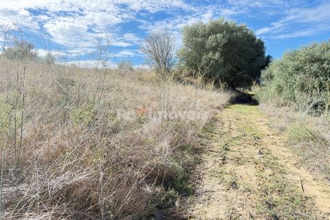Helårsgrund i Abrantes, Santarem, Abrantes - € 6.500 | Ref: 01793-25 - foto 7
