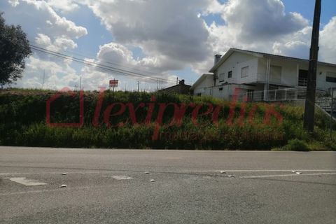 Helårsgrund i Barro, Aveiro, Barro - € 13.000 | Ref: AG 3632 - foto 2