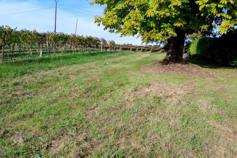 Villa i Jonzac, Charente-Maritime, Jonzac - € 185.000 | Ref: BVI83087 - foto 4