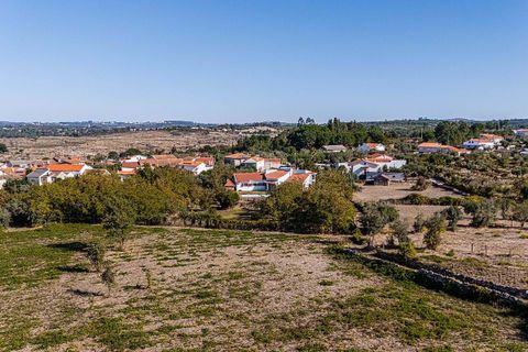 Gårdshus i Nelas, Viseu, Nelas - € 378 000 | Ref: 126021008-264 - foto 5