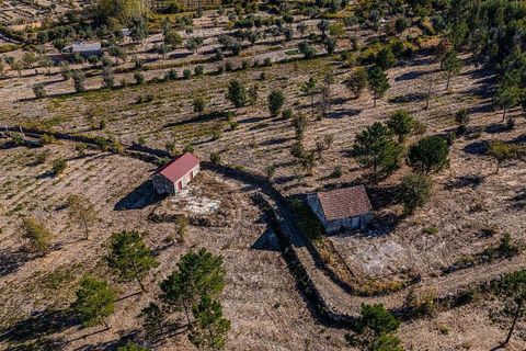 Gårdshus i Nelas, Viseu, Nelas - € 378 000 | Ref: 126021008-264 - foto 8