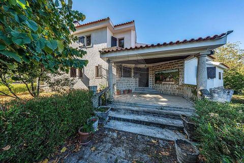 Gårdshus i Nelas, Viseu, Nelas - € 378 000 | Ref: 126021008-264 - foto 9