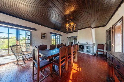 Gårdshus i Nelas, Viseu, Nelas - € 378 000 | Ref: 126021008-264 - foto 15