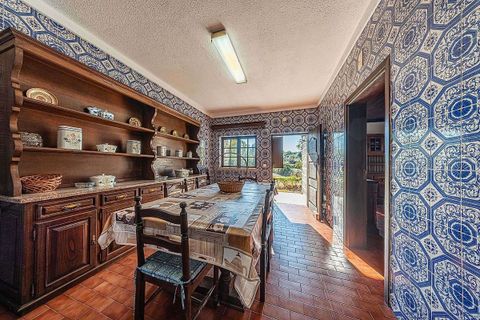Gårdshus i Nelas, Viseu, Nelas - € 378 000 | Ref: 126021008-264 - foto 16
