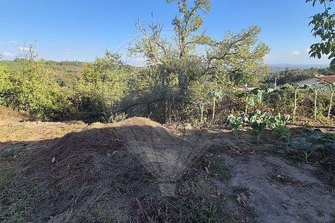 Farm hus i Viseu, Viseu, Viseu - € 199.000 | Ref: 126021010-169 - foto 13