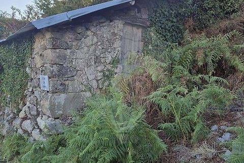 Farm hus i Viseu, Viseu, Viseu - € 199.000 | Ref: 126021010-169 - foto 15