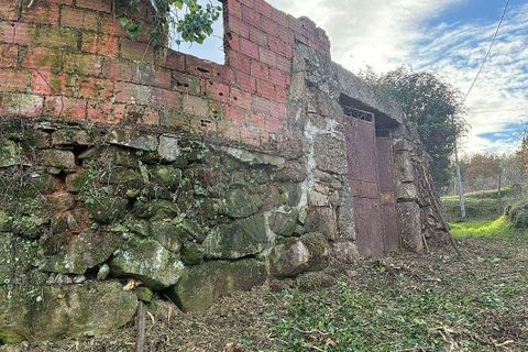 Farm hus i Viseu, Viseu, Viseu - € 199.000 | Ref: 126021010-169 - foto 17