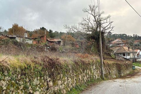 Farm hus i Viseu, Viseu, Viseu - € 199.000 | Ref: 126021010-169 - foto 20