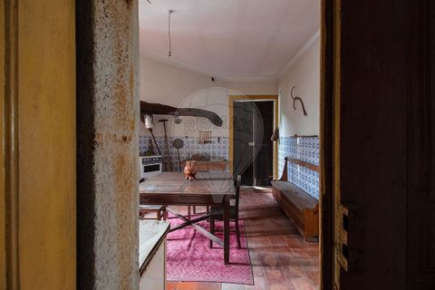 Erhvervsejendom i Sever do Vouga, Aveiro, Sever do Vouga - € 375.000 | Ref: 126021010-166 - foto 7