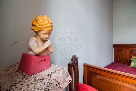 Erhvervsejendom i Sever do Vouga, Aveiro, Sever do Vouga - € 375.000 | Ref: 126021010-166 - foto 12