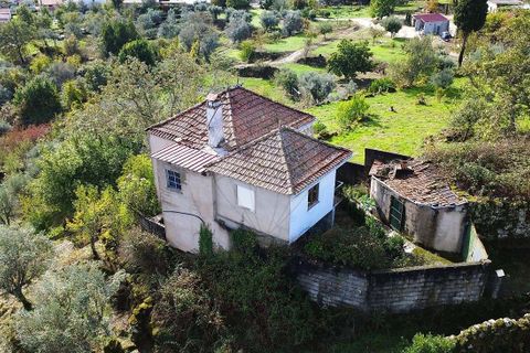 Villa a Aguiar da Beira, Guarda, Aguiar da Beira - € 48.000 | Ref: 126021187-9 - foto 4